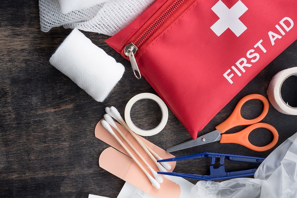 Certificate in First Aid (theory)