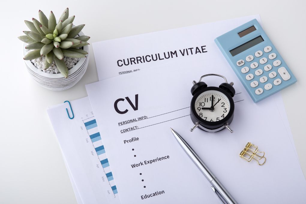 cv construction and interview preparations